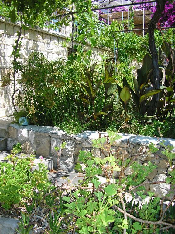 חוואר Noor Apartment And Room מראה חיצוני תמונה